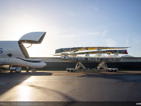 Beluga xl