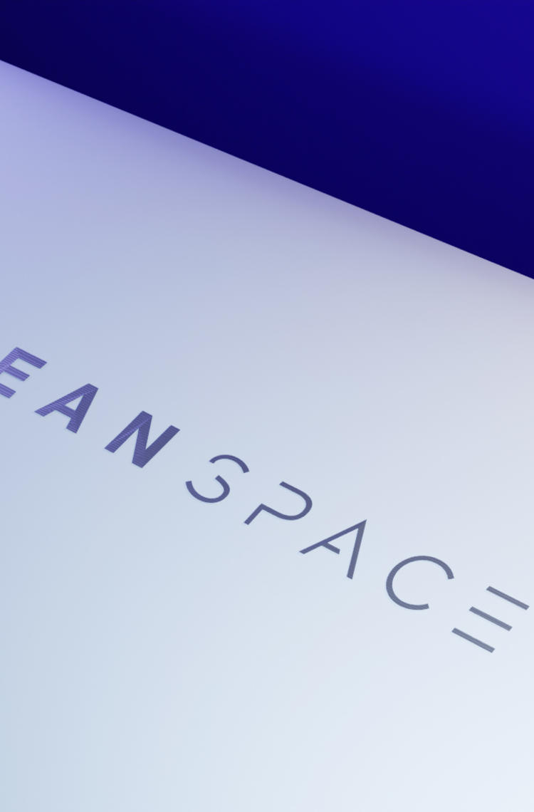 clean-space-label clean-space-label