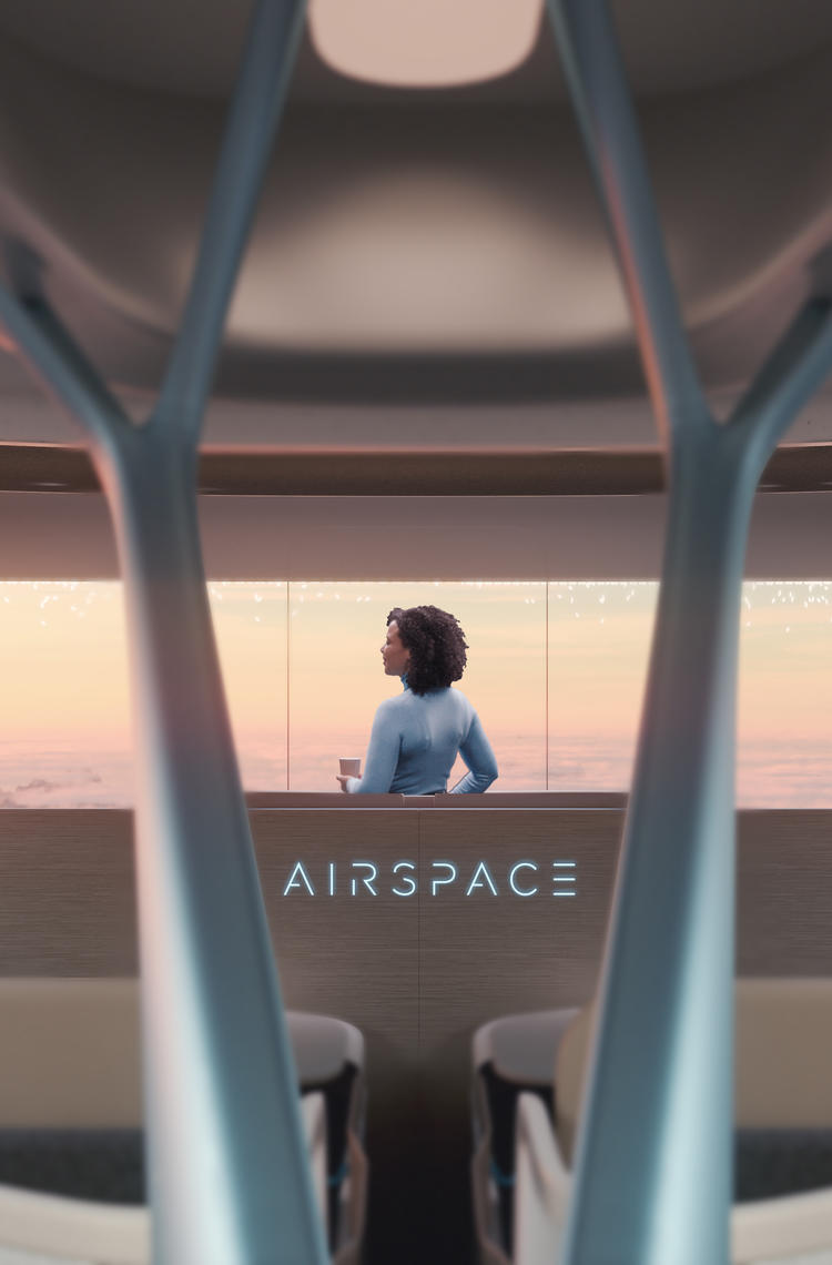 Airspace cabin with lady watching an aircraft flying by