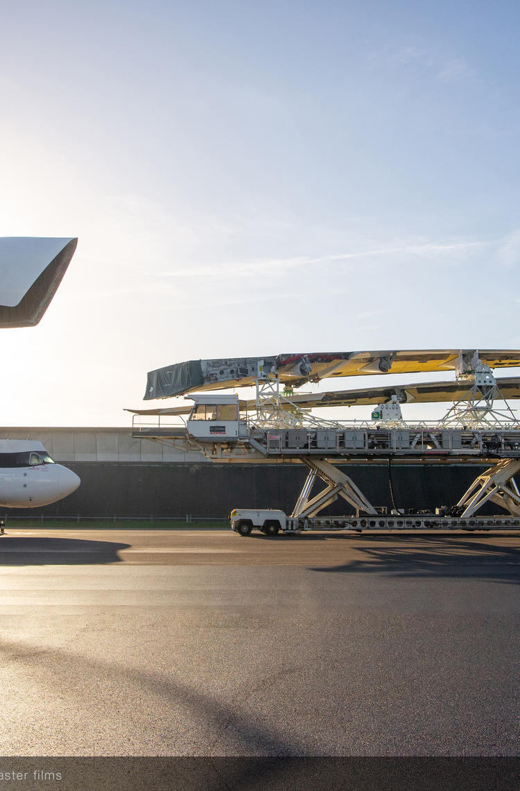 Beluga xl Beluga xl