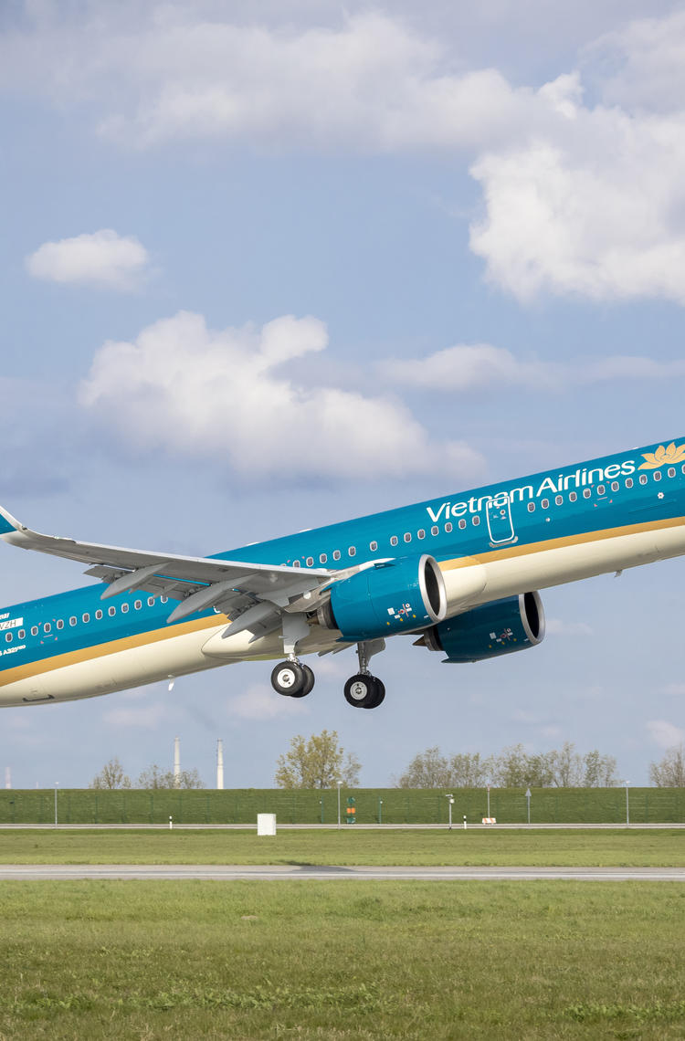 A321neo Vietnam Airlines A321neo Vietnam Airlines