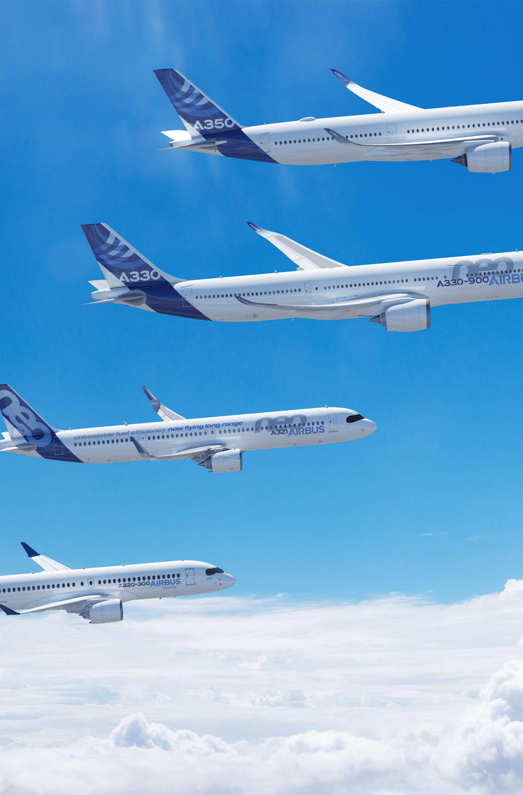Airbus family in flight