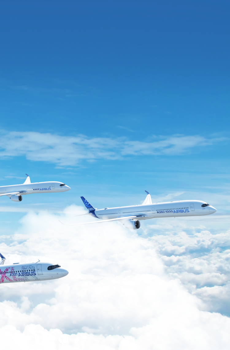 Airbus Family in flight