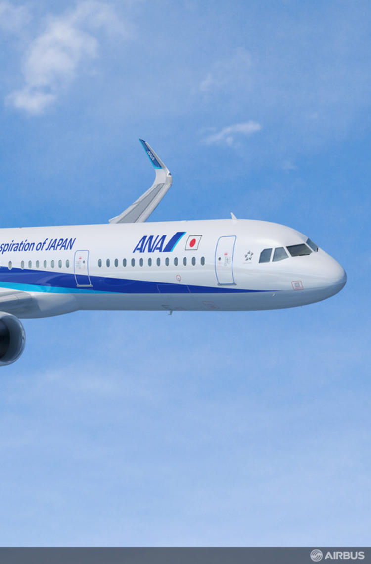 ANA single aisle flying