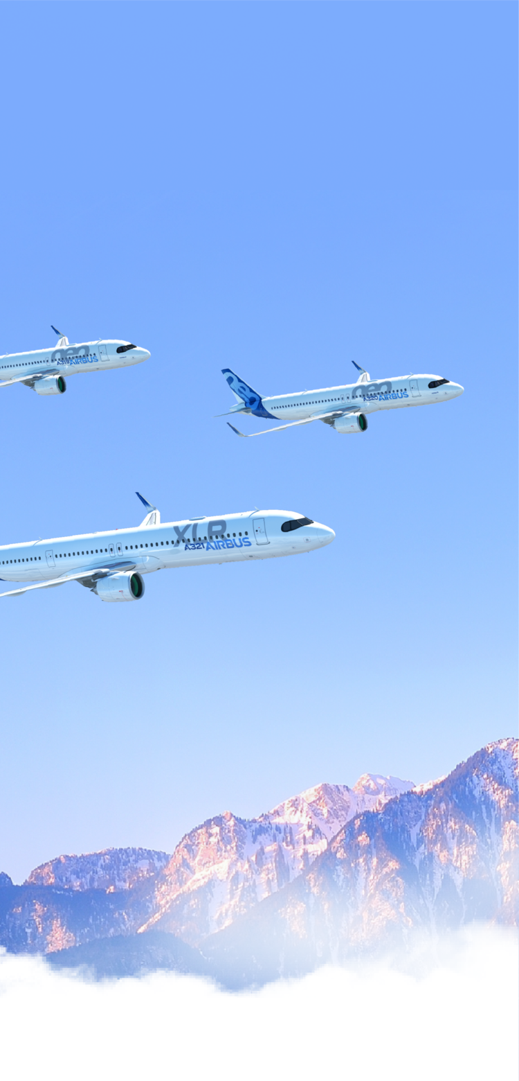 A320 family flying A320 family flying