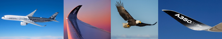 Biomimicry or biologically inspired engineering is providing engineers with invaluable insight on how to design lighter and more fuel-efficient aircraft.