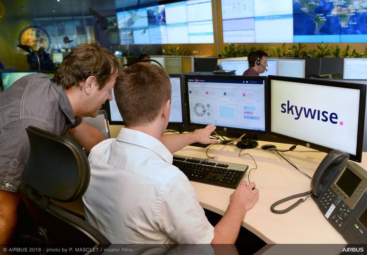 Skywise people working