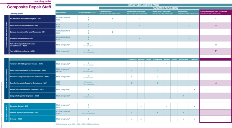 Overview of the Structure Learning paths focusing on Composite Repair Staff