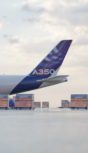 Tail of an A350F on ground